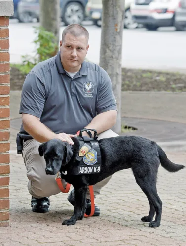 Fire K9 passes away suddenly